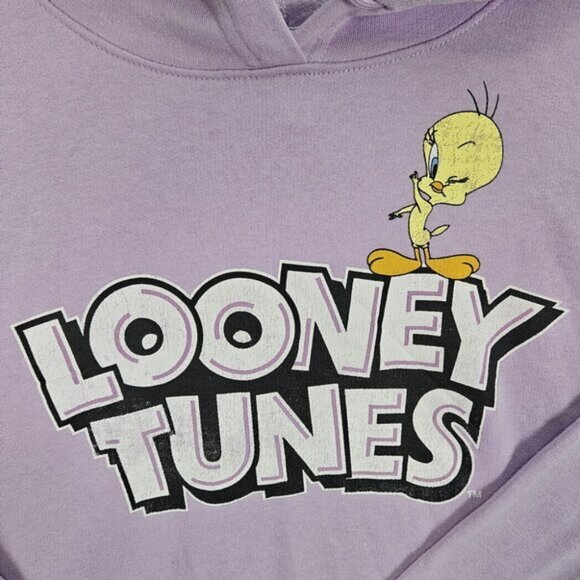 Looney Tunes Tweety Yellow Canary Hoodie Unisex Adult Size XL Purple Sweatshirt - Picture 2 of 10